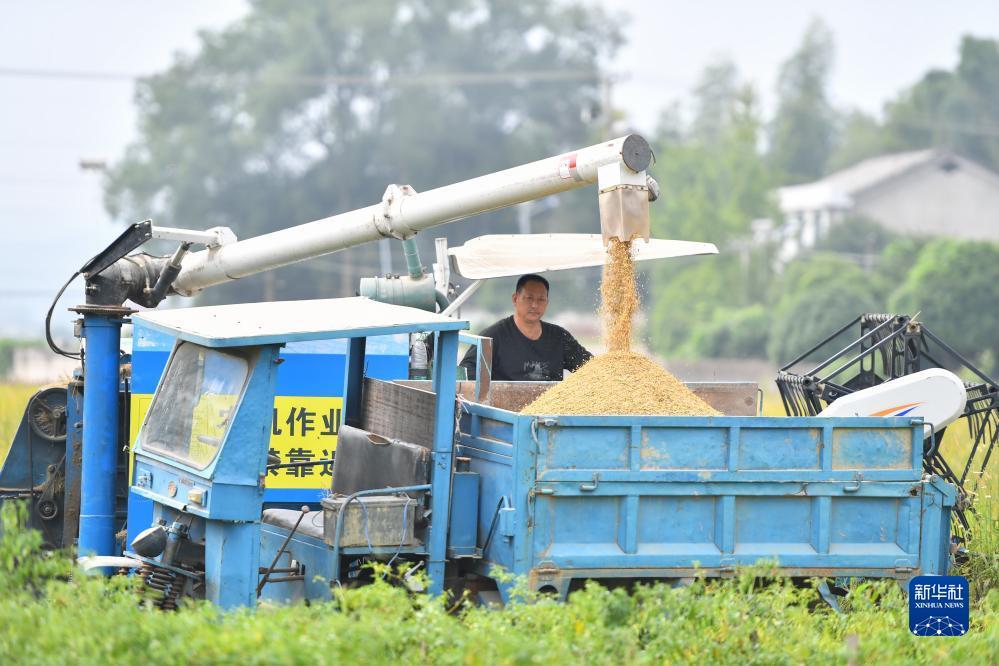电娱游戏官网